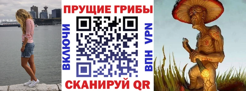 купить наркотик  Дальнереченск  Галлюциногенные грибы прущие грибы 
