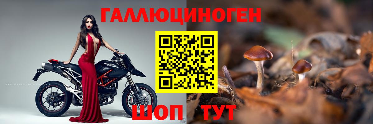 Дальнереченск  Галлюциногенные грибы MAGIC MUSHROOMS  Галлюциногенные грибы прущие грибы  Вход с VPN 